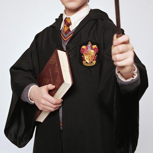 Harry potter gryffindor - harry,