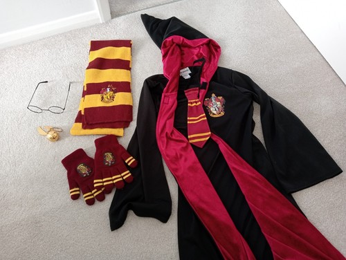 Harry potter fancy dress - harry,