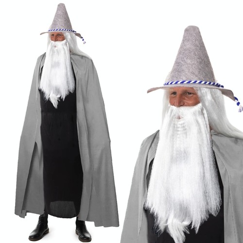 Adult wizard grey halloween - wizard,