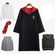 Harry Potter Gryffindor School