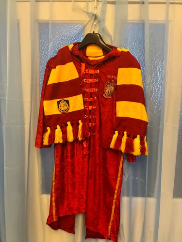 Harry potter quidditch - harry,