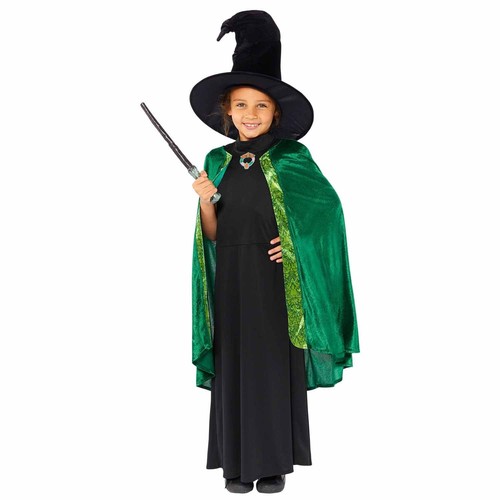 Harry potter professor - potter,
