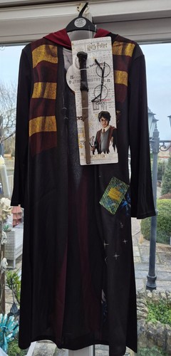Harry potter fancy dress - harry,