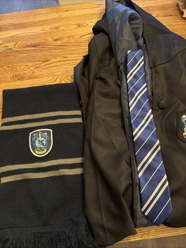 Harry potter ravenclaw costume - harry,