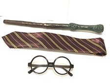 Harry Potter Costume Wizard