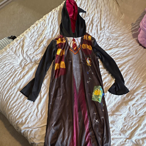 Harry potter fancy dress - harry,