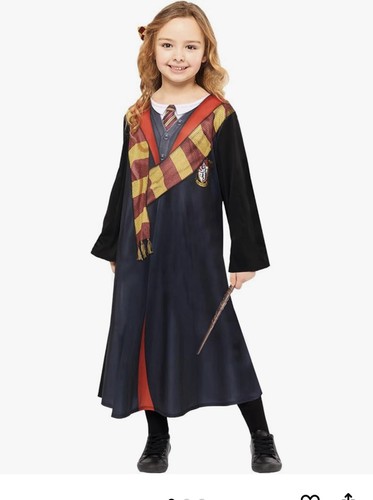World book day - day, potter