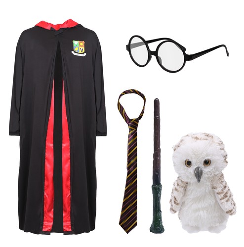 Kids wizard costume world - kids,